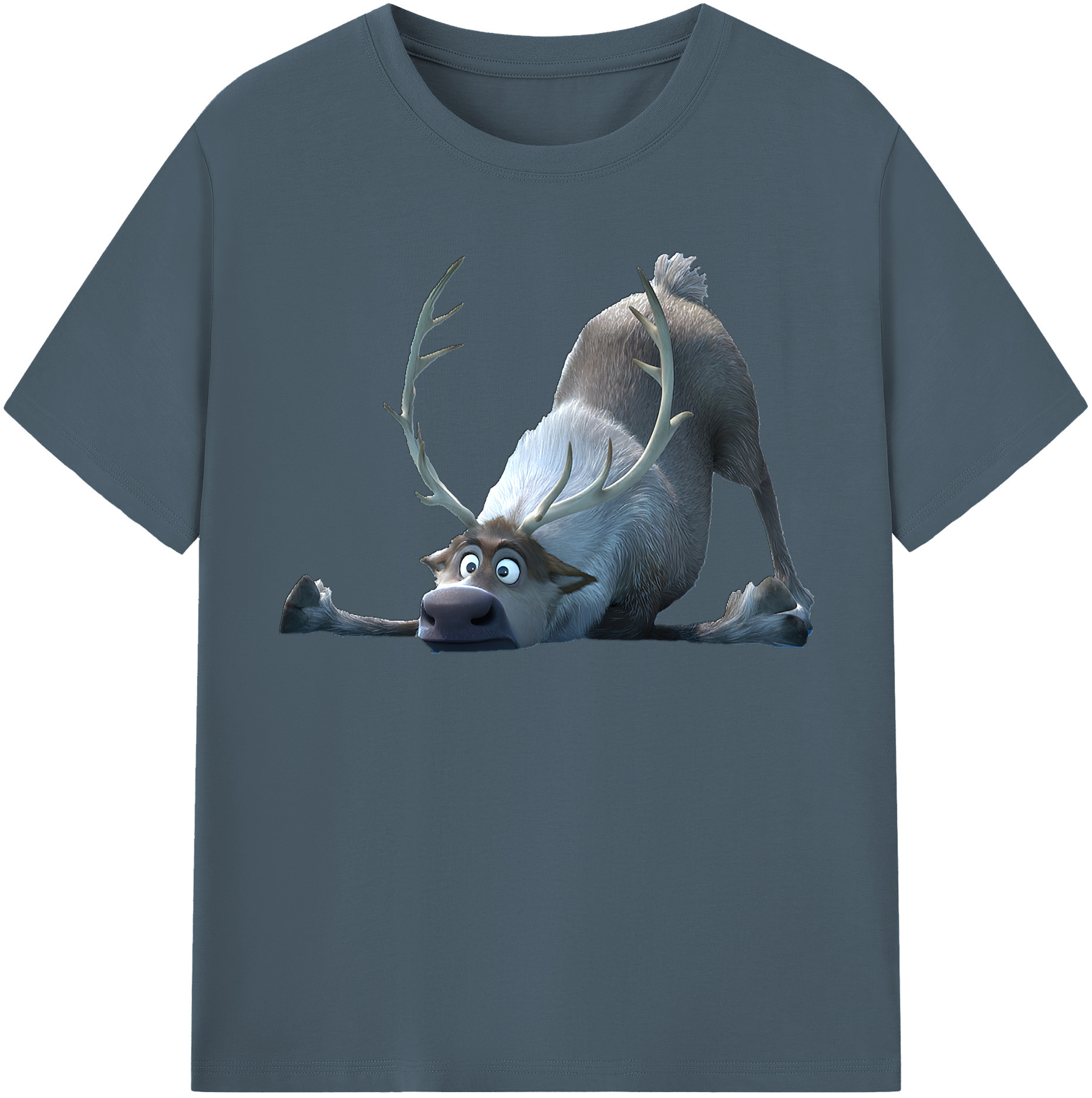 （画像用） アナと雪の女王 アンナ エルサ Frozen Anna Elsa 綿100％半袖Tシャツ（フロントプリント）